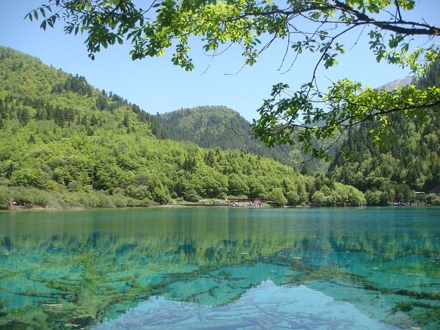 Shillong 2N